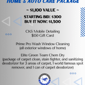 Shimmer & Shine:  Home & Auto Care Package