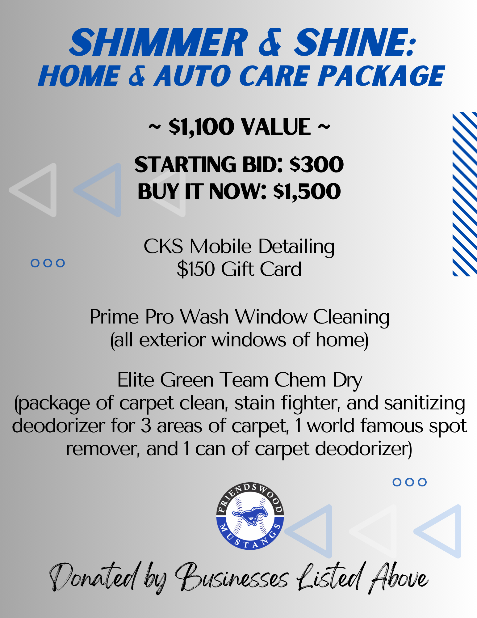 Shimmer & Shine: Home & Auto Care Package